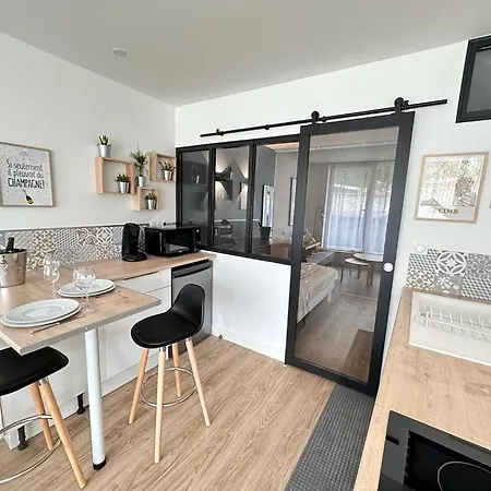 Moisson Pepite Au Centre Avec Parking Apartment Reims